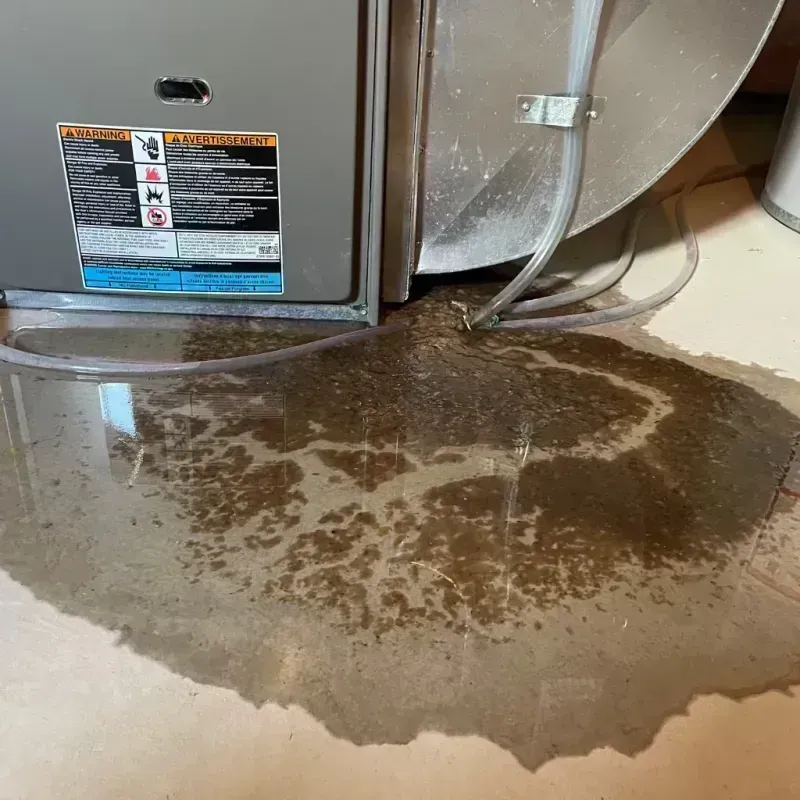 Appliance Leak Cleanup in Gray Summit, MO